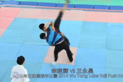 李晓辉推手